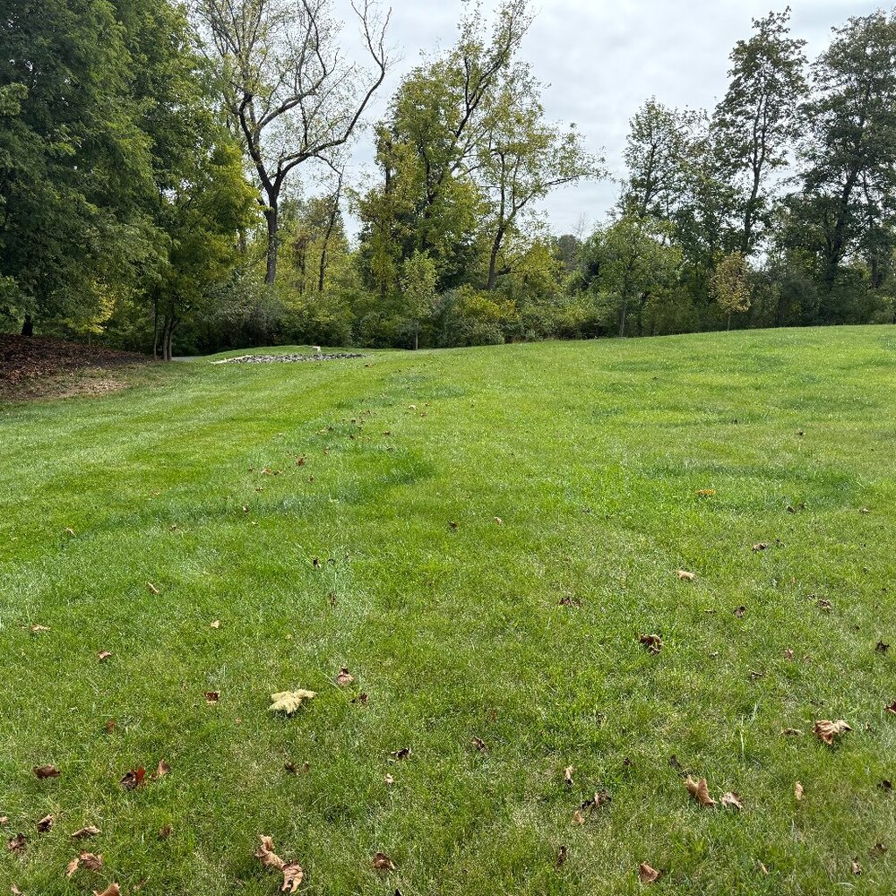 Meet your Posher, Jo